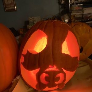 Meet your Posher, Patty